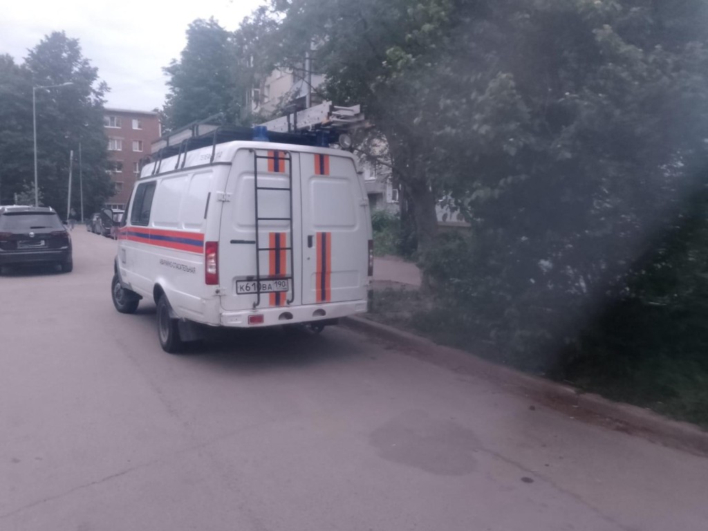 Спасатели помогли медикам транспортировать женщину с переломом ноги в Кашире