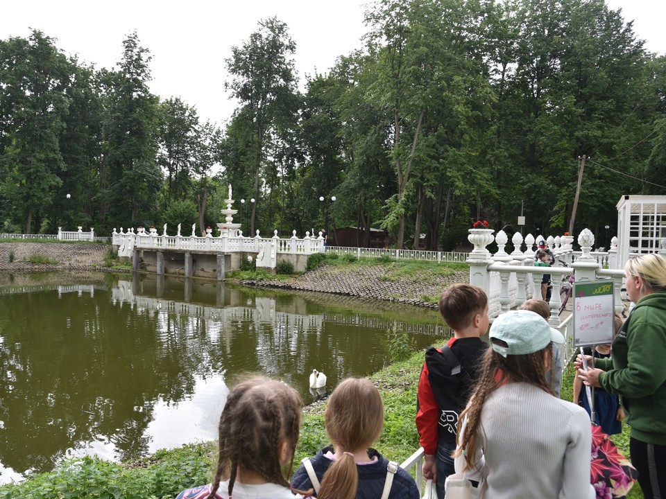 Экопрогулки, танцы и турниры по настолкам ждут жителей Лотошина в парке