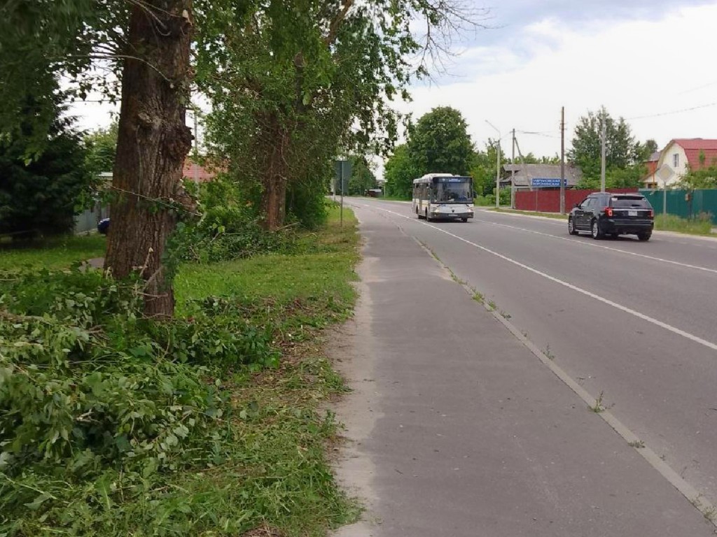 На дороге к Самойлихе спилили разросшиеся ветки деревьев