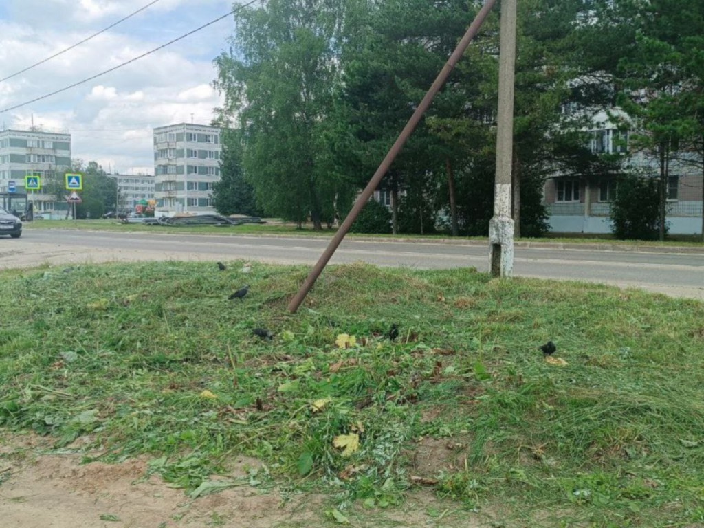 Заросший борщевиком участок обработан у котельной в Талдоме по просьбе жителей