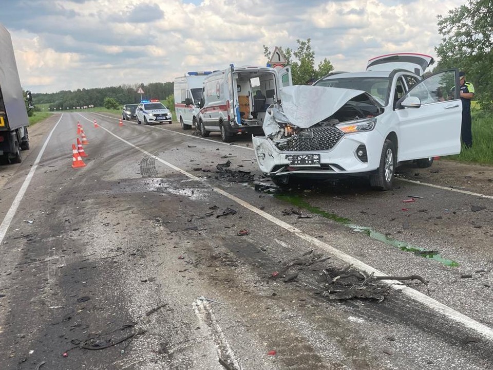 Полиция проводит проверку по факту гибели водителя в результате ДТП под Сергиевым Посадом