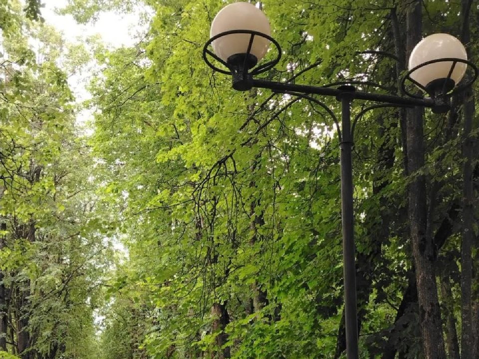 В парке Звенигорода привели в порядок уличные фонари