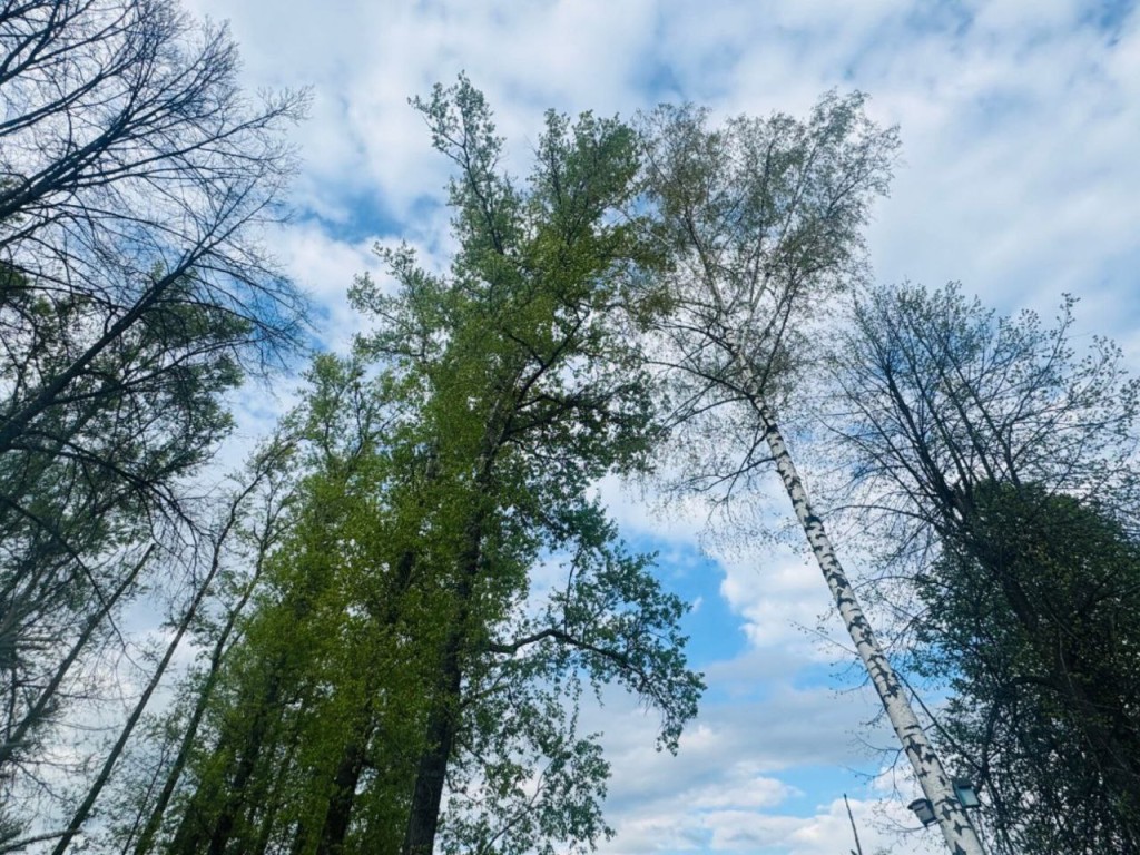 Что нельзя и что можно делать 5 июня, чтобы удачи и здоровья не лишиться