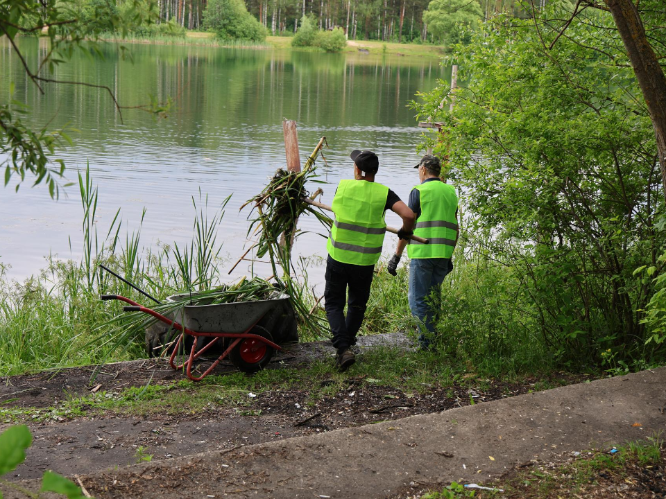 Территорию вокруг Юбилейного водоема реконструируют в 2026 году