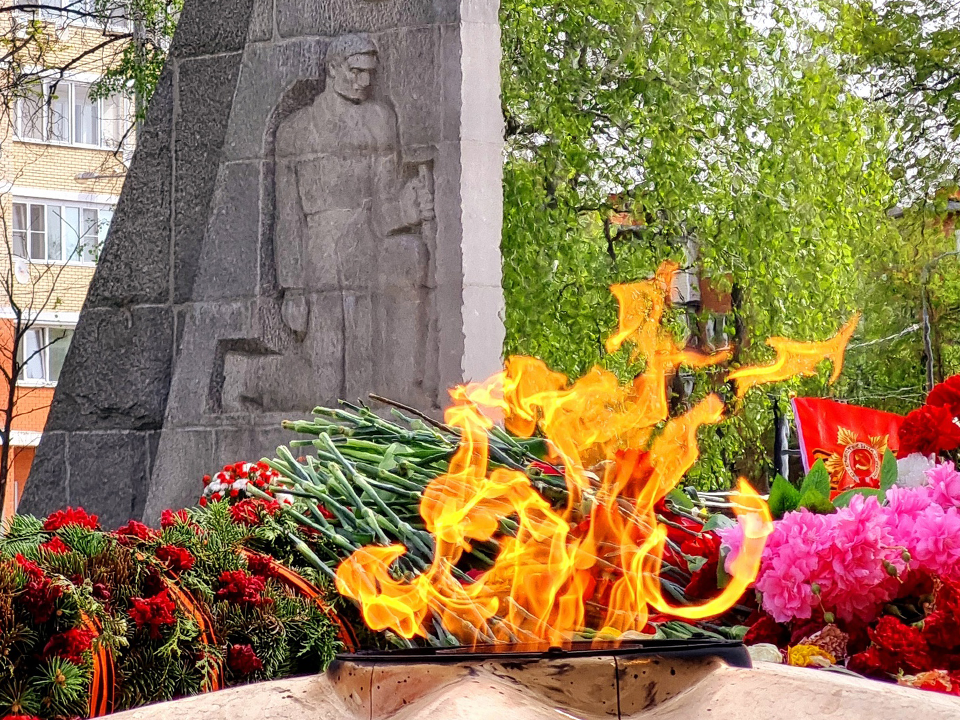 Молодежный центр выпустит видеоэкскурсию о воинской славе Ступина и Каширы