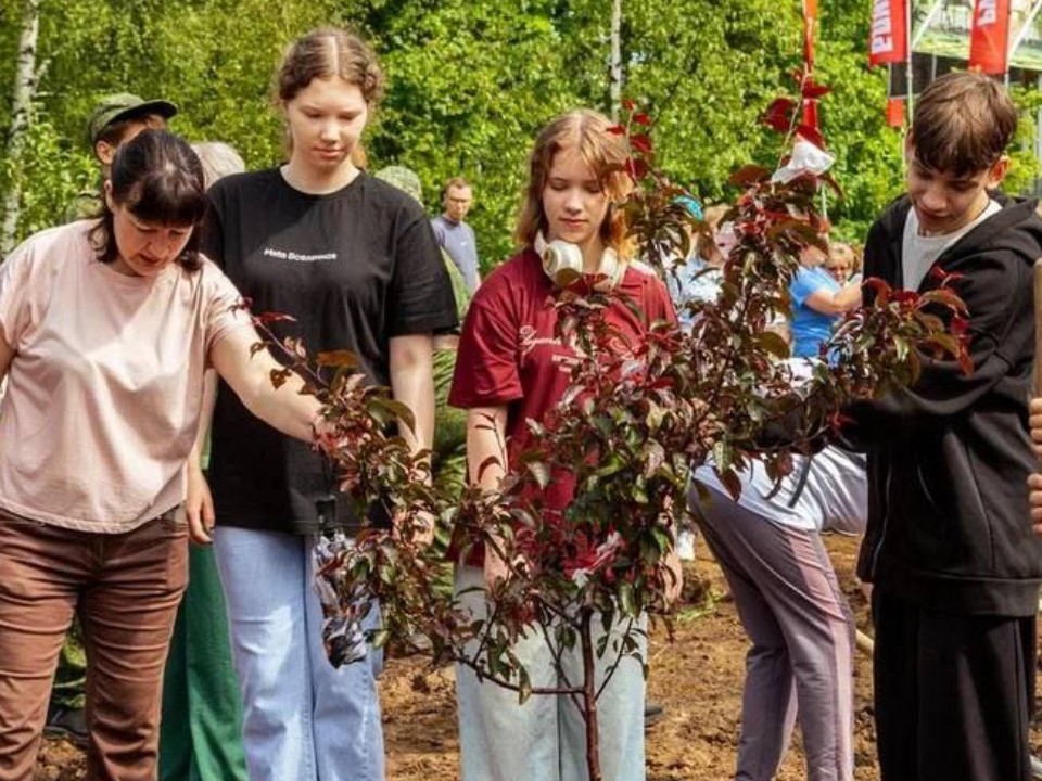 В Лобне началась реконструкция парка Защитников Москвы