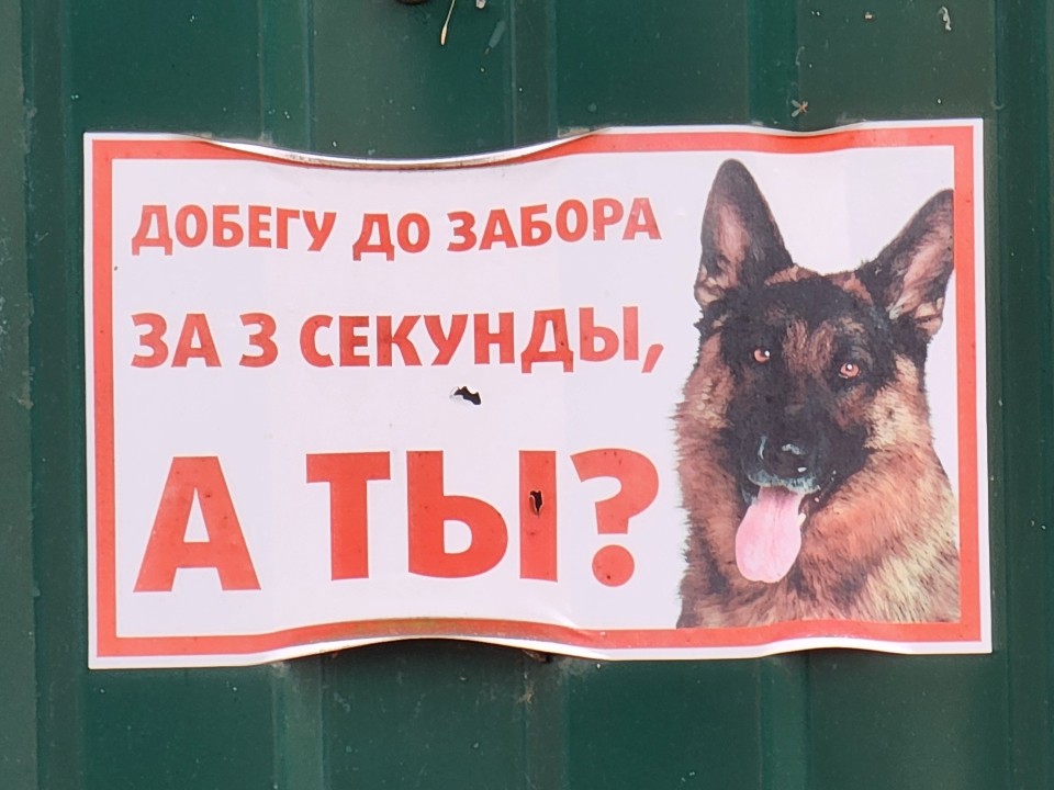 В Звенигороде открыли сезон собаки-путешественники