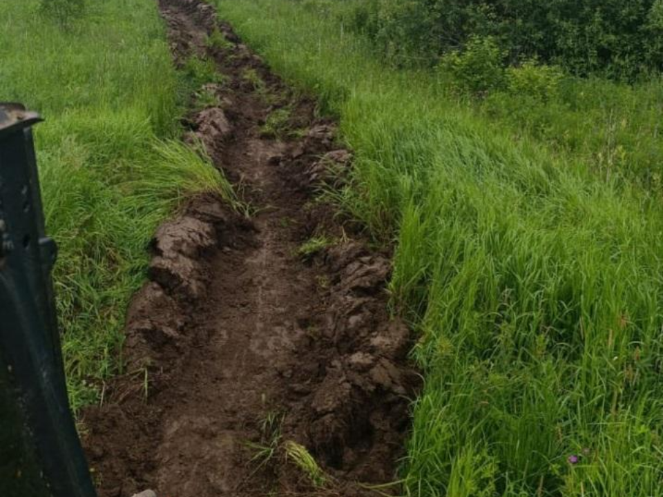 Завершено создание более 8 км противопожарных полос в Талдомском округе