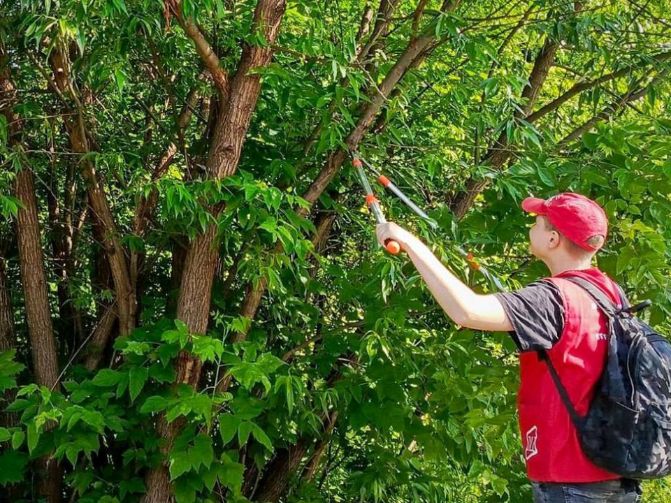 Трудовые отряды главы за неделю собрали более 17 кубометров мусора в Электростали
