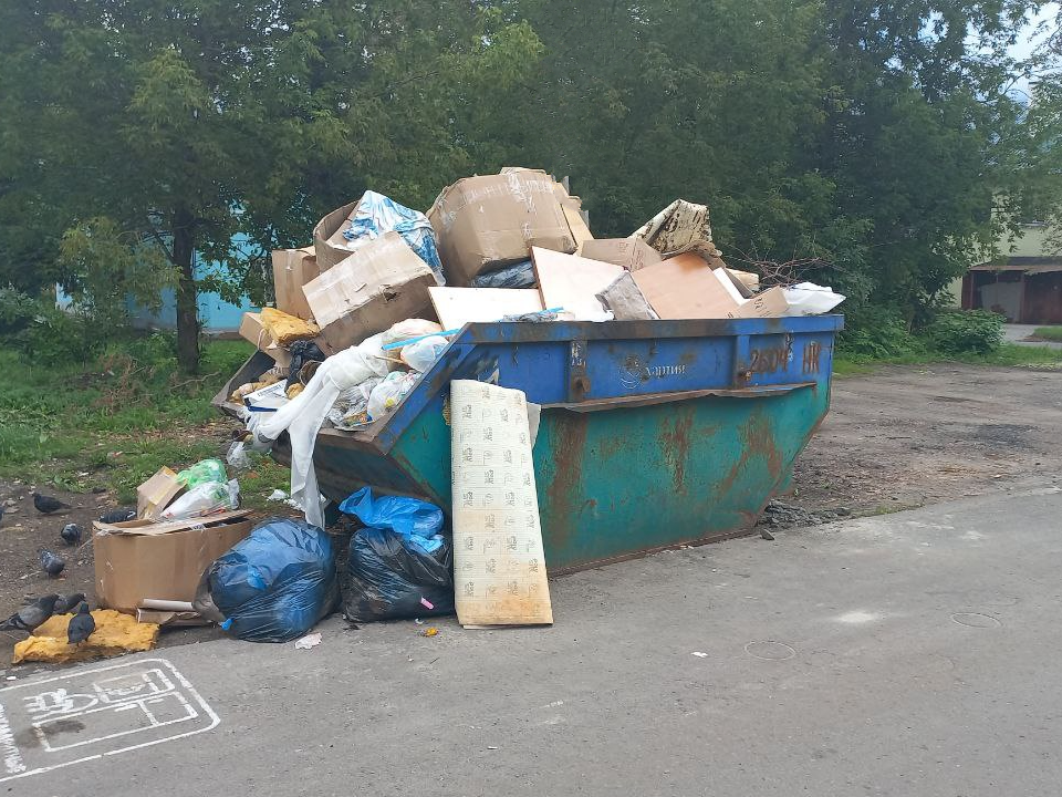 Возле поселка Машиностроитель обнаружили крупный навал мусора