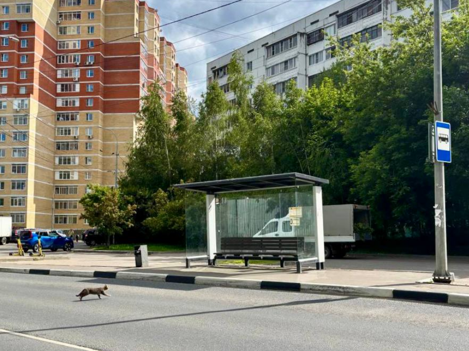 В Красногорске появились современные остановки из ударопрочного стекла