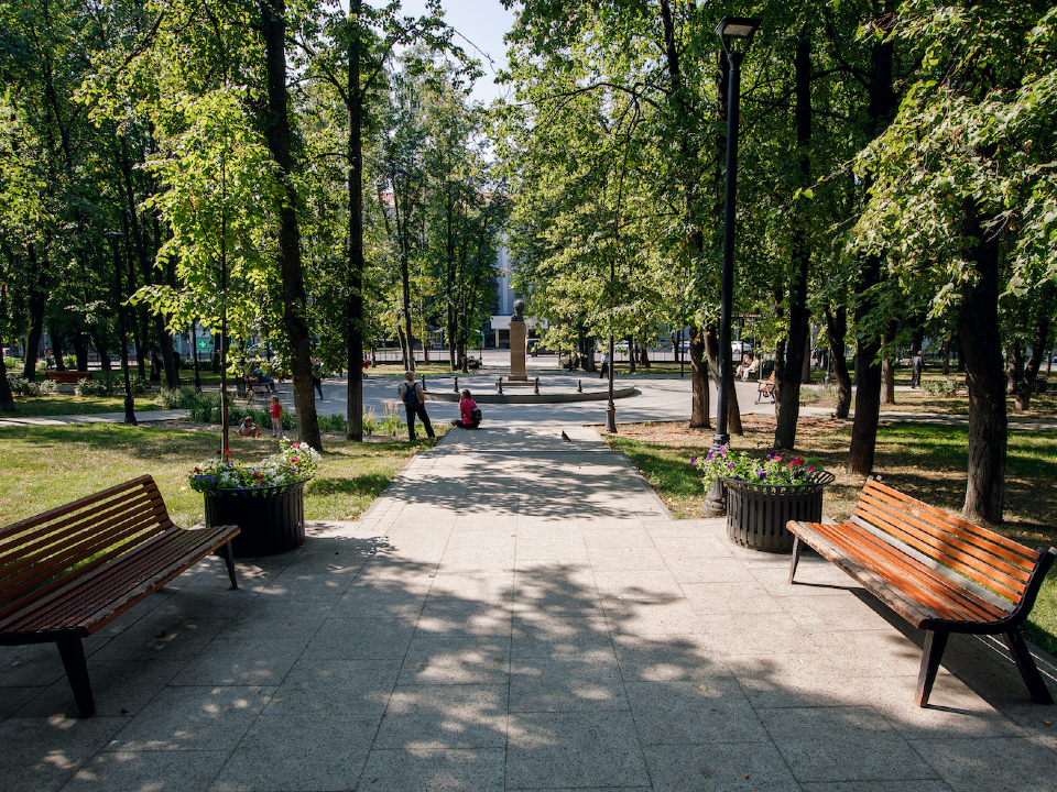 Жители Фрязина выберут сквер, который модернизируют в 2026 году