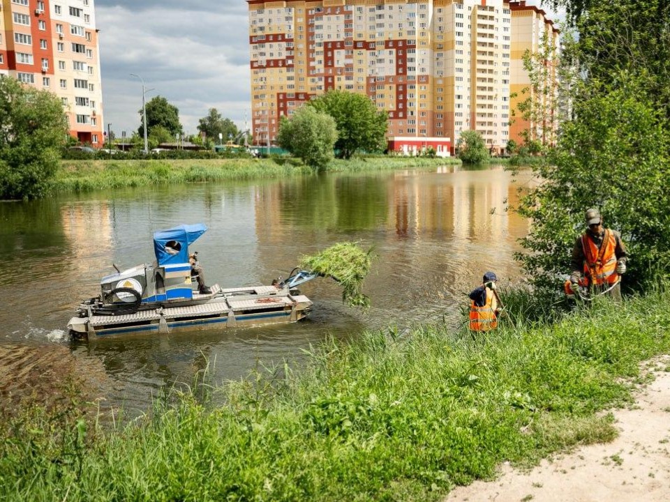 В Островцах началась очистка Баулинского пруда
