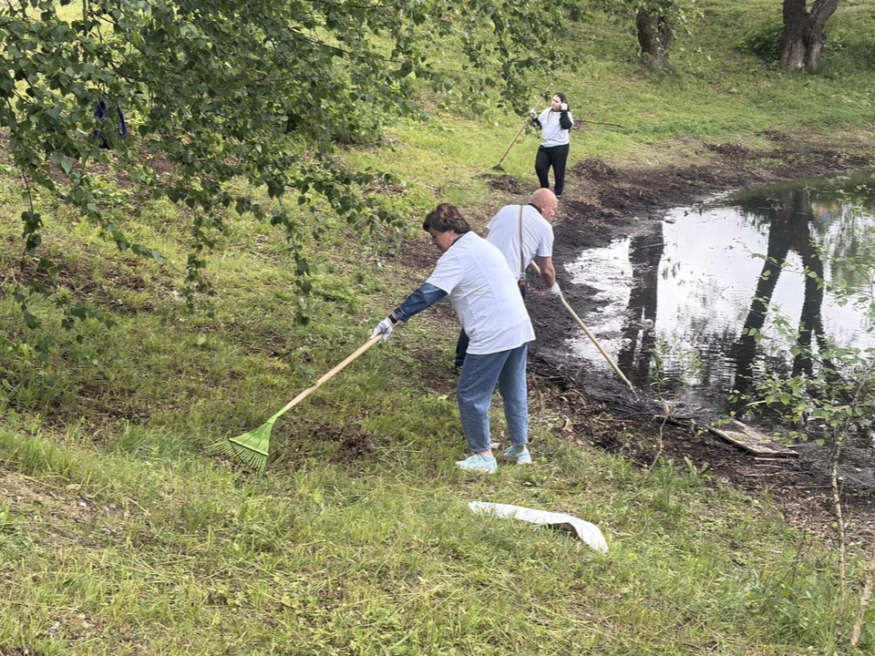 Берега Щуровских прудов в Коломне расчистили от мусора