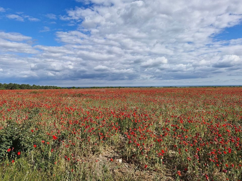 Погода в Подмосковье снова ухудшается