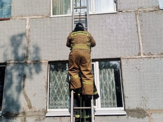 Спасатели в Серебряных Прудах помогли жильцам попасть квартиру