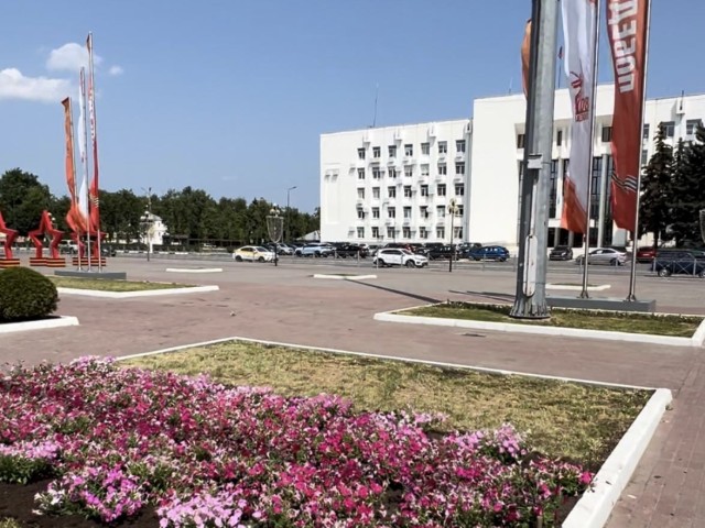 Центральную площадь Коломны и другие общественные пространства украсили петунии