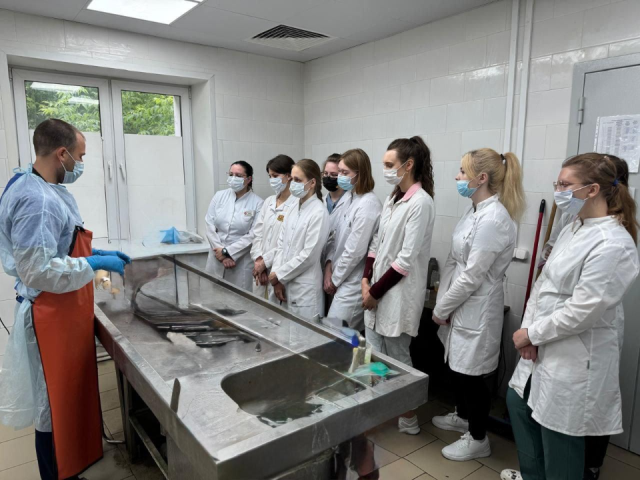 В Богородском округе начался третий сезон программы Летний Интенсив Медиков Ординаторов