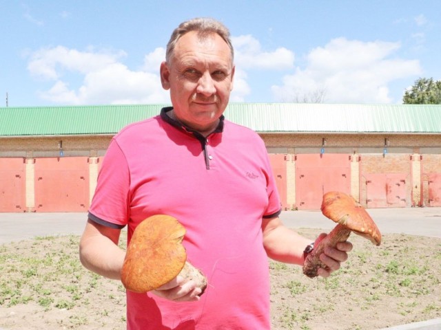 Глава Зарайска открыл грибной сезон и пригласил жителей на «тихую охоту»