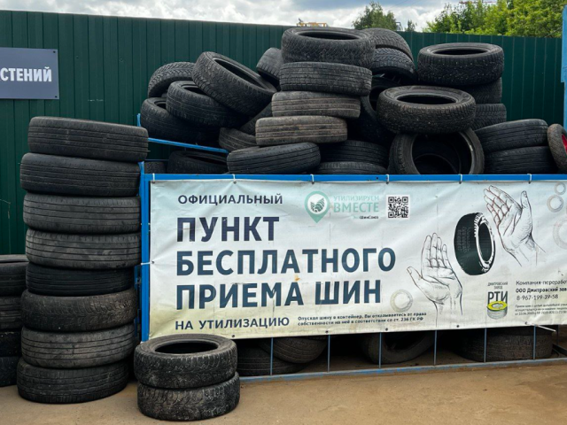 Покрышки и фото в русском стиле помогли жительнице Красногорска победить в эко-акции