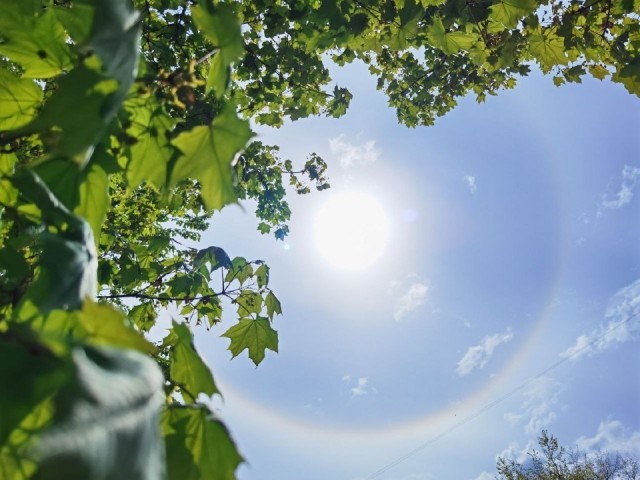 Дожди и +28°C: какая погода ждет королевцев на неделе