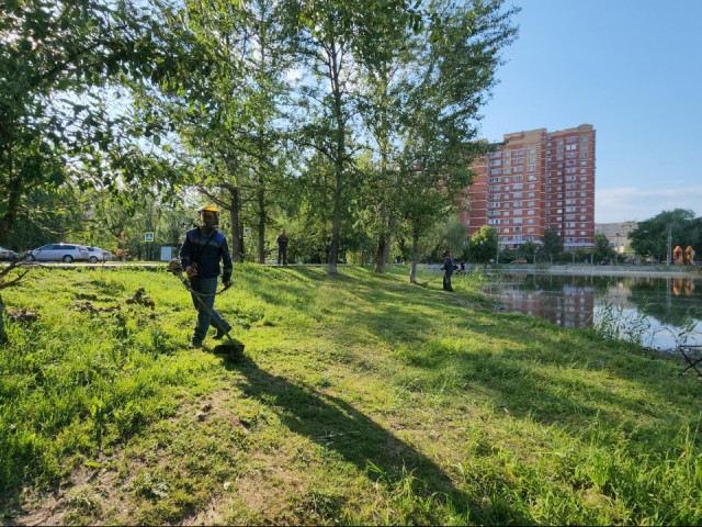 На берегах лобненского пруда убрали мусор и покосили траву