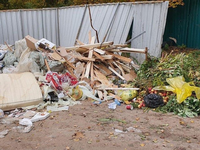 В округе Пушкинский городское хозяйство помогает с вопросами вывоза мусора