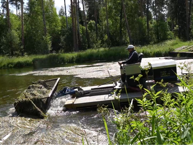 В Пушкинском округе организовали очистку водоемов по программе «100 прудов и озер»