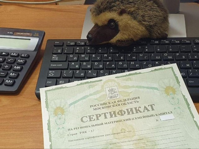 Девять семей в Дубне использовали маткапитал на жилье и образование детей