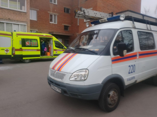Спасатели в Кашире оказали помощь 86-летней женщине с переломом бедра