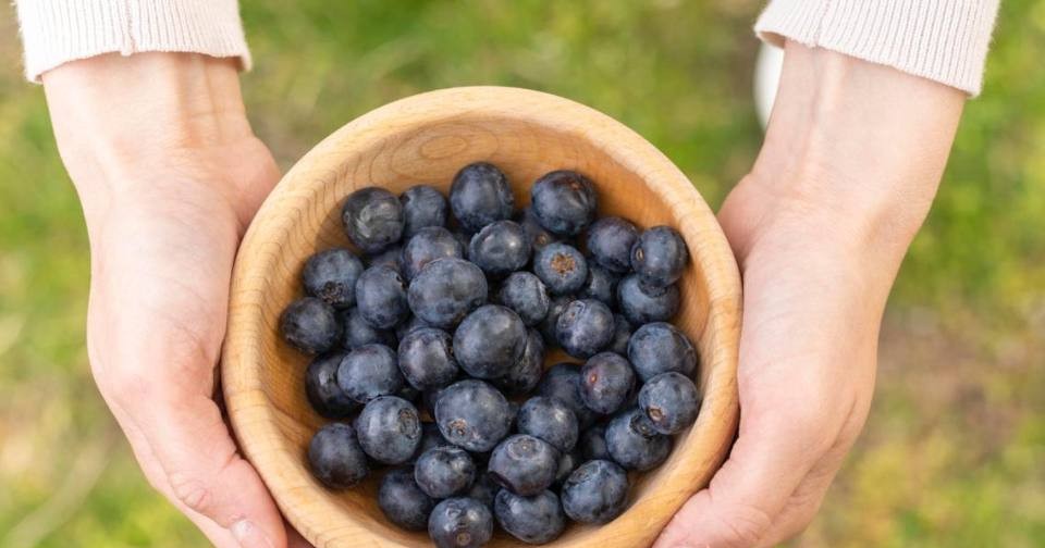 Секреты долголетия: 5 продуктов, укрепляющих иммунитет и улучшающих здоровье, по мнению нутрициолога