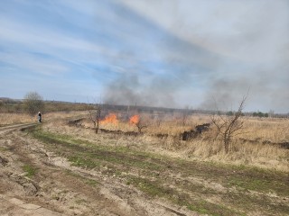 В Подмосковье изменился прогноз по пожароопасности в лесах