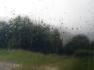 В Лыткарине в последние дни июня будет прохладно и дождливо