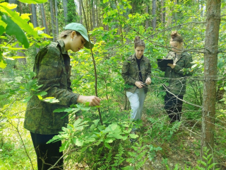 Школьники из Орехово-Зуева провели экспедицию в нацпарке «Угра»