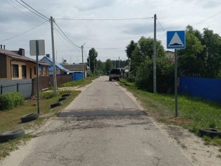 В Ликино-Дулеве по просьбам жителей усыновлен «лежачий полицейский»
