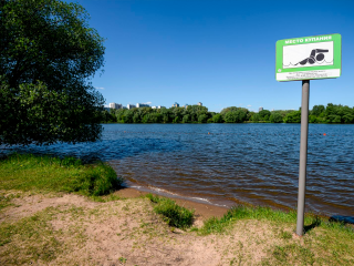 Где в Королеве есть легальный пляж