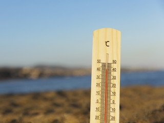 Синоптики назвали точную дату прихода 37-градусной жары