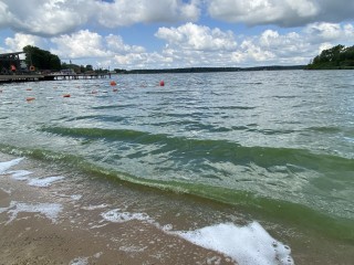 Вода в озере Сенеж окрасилась в зеленый цвет
