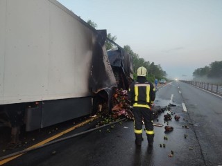 Загоревшуюся фуру с фруктами потушили на трассе М-1 в Можайске