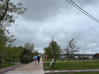 В Солнечногорске на выходных будет облачно, возможен дождь