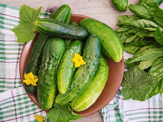 Что можно и нельзя делать на даче с 23 по 27 июня: лунный календарь и рекомендации эксперта