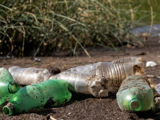 «Фантомный синдром»: зачем в Кашире несут мусор к демонтированной КП