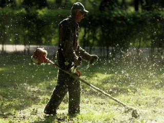 Траву на придомовой территории дома 57/1 по Московскому шоссе покосят к 18 июня