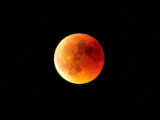 Долгопрудненцы наблюдали «клубничное» полнолуние