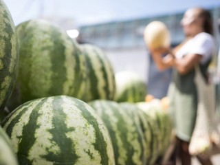 Какие опасности таят первые арбузы: предостережение врача