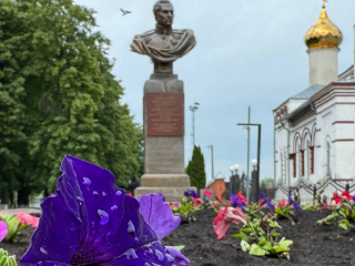 Петунья, сальвия и виола расцвели на улицах Серебряных Прудов