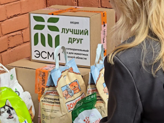 Коломенские волонтеры собрали гуманитарную помощь животным из Курской области