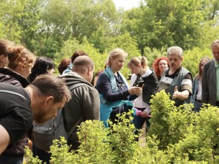 Ногинская «Волхонка» отметила 105-летие дендрария