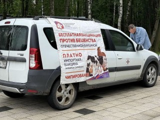 Электростальцы вакцинировали животных в парке «Авангард»