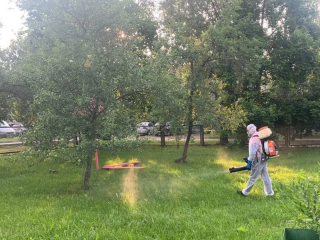 Территорию Пановской школы в Коломне обработали от клещей